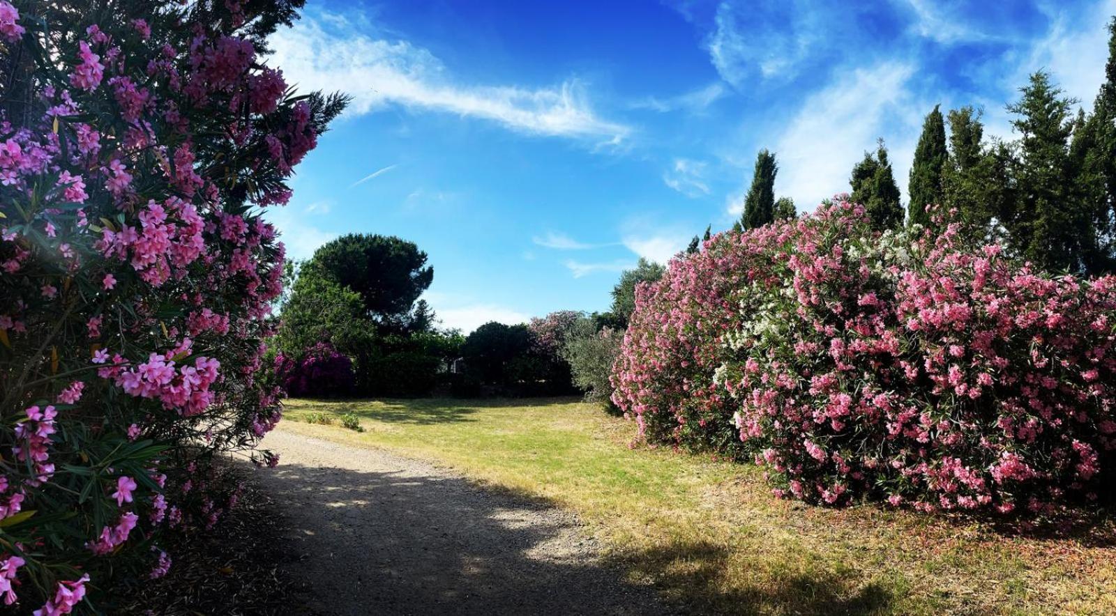 Wancho Holiday home Botarell